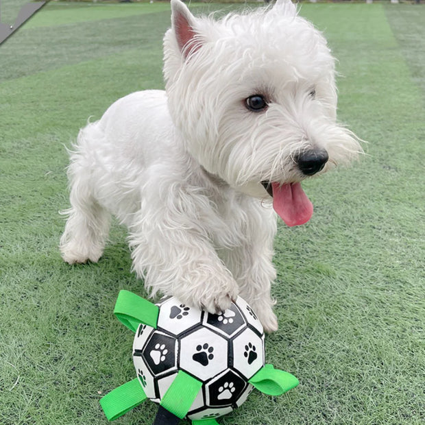 CubbyPet™ - Viral Doggie Ball